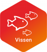 Vissen